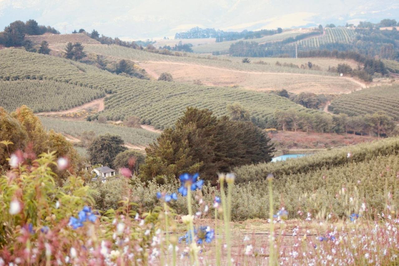 Cheverells Farm Grabouw Buitenkant foto