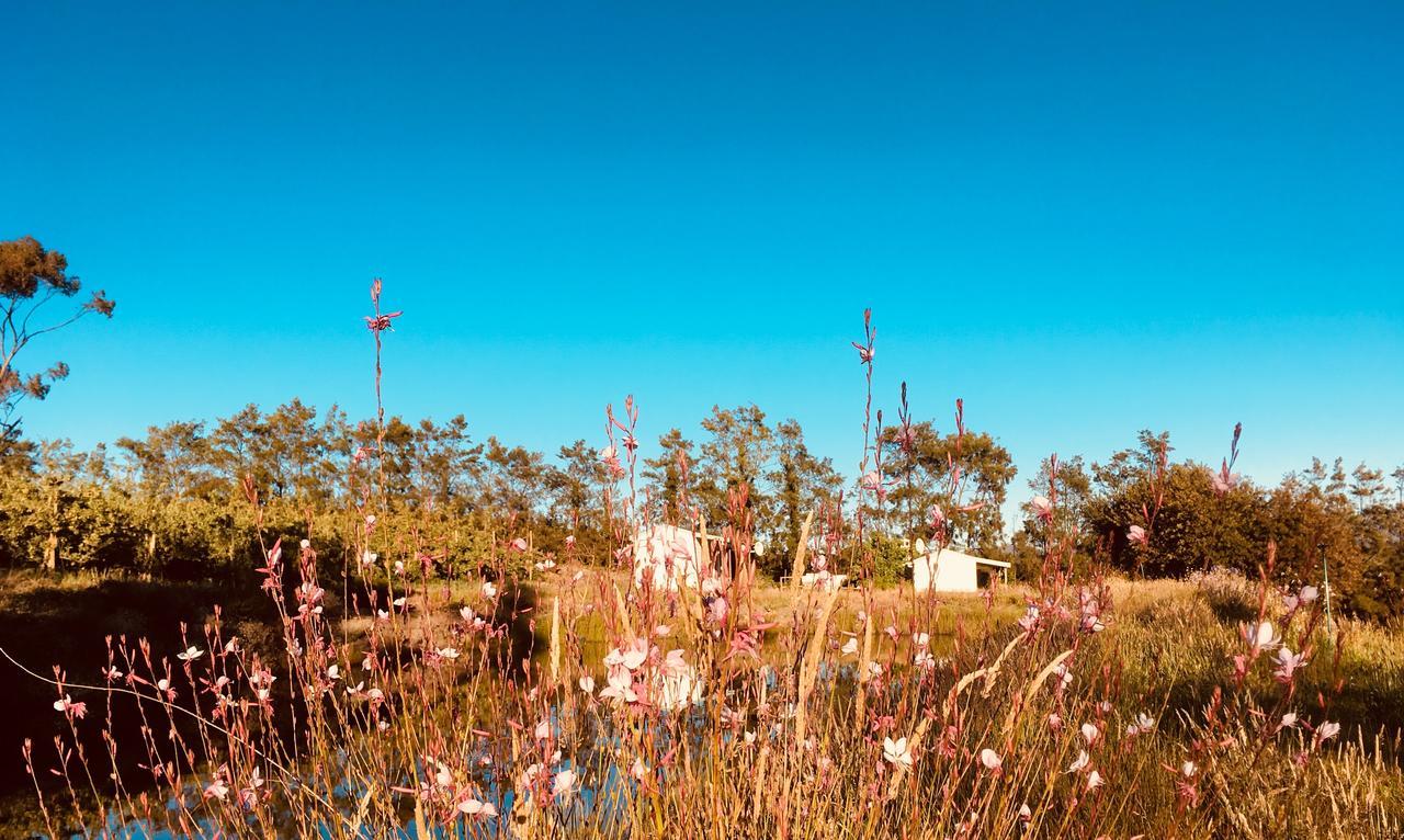 Cheverells Farm Grabouw Buitenkant foto