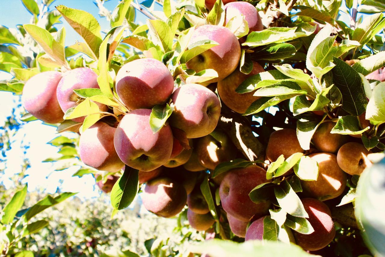 Cheverells Farm Grabouw Buitenkant foto